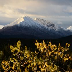 St. Elias Mountain, Alaska, by David Marr