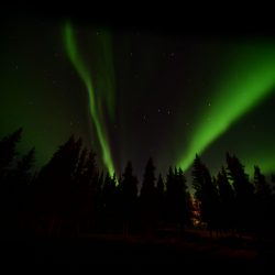 Northern Lights, Denali AK, by David Marr